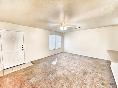 236 Alves Ln unit 1, New Braunfels, TX 78130 - photo 4
