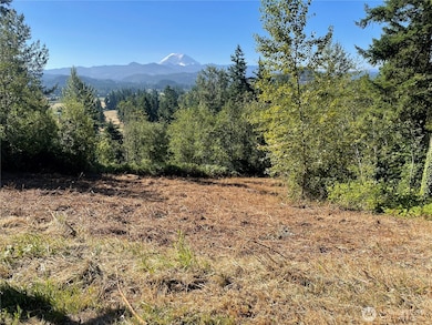 27435 SE 402nd St, Enumclaw, WA 98022 - photo 2