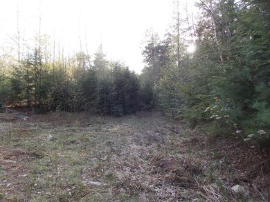 Lot B New Templeton Rd, Hubbardston, MA 01452 - photo 3