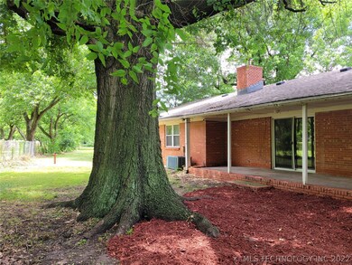 Lovely shade tree in the backyard