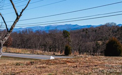 TBD Old Newfound Rd, Leicester, NC 28748 - photo 4