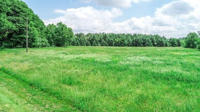 0000 S Shaver Rd unit A, Schoolcraft, MI 49087 - photo 2