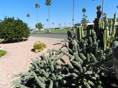 YARD/GREEN SPACE