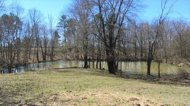 IMG_4415