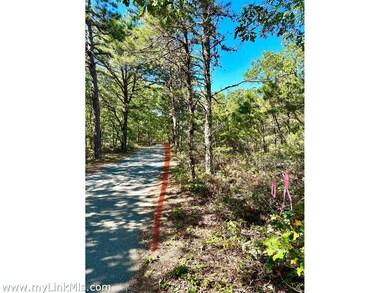 168 Charles Neck Way unit 49, Vineyard Haven, MA 02568 - photo 7