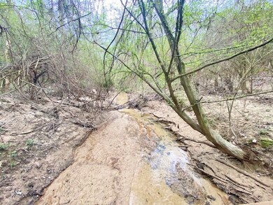 0 Ferguson Cir, McComb, MS 39648 - photo 7