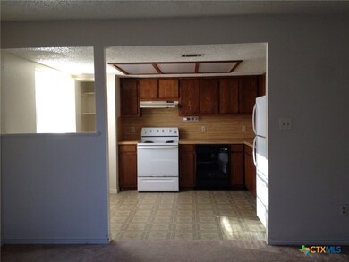 232 Craddock Ave unit 234, San Marcos, TX 78666 - photo 3