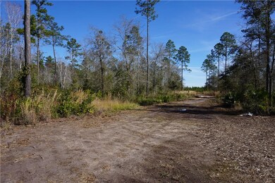 View of road to property, looking from West side,