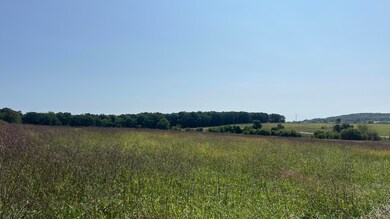 000 Gibson Lane Rd unit Lot 2, Mountain Grove, MO 65711 - photo 4