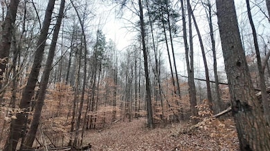 7943 Harper Rd, Hixson, TN 37343 - photo 4