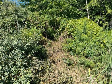 3780 14th St, Wayland, MI 49348 - photo 3