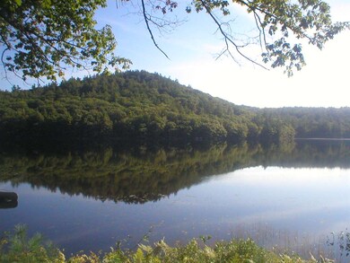 5 Piper Rd, Hillsborough, NH 03244 - photo 4