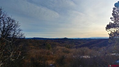 W Durango Ridge Rd, Durango, CO 81301 - photo 6