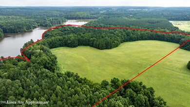 4833-Overall-3-wLines