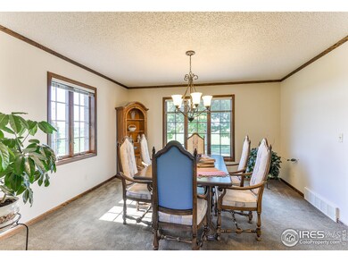 Light and Bright Dining Room