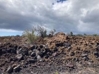 View of the berm at the street