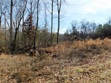Lot 4 Furnace Rd, Lincolnton, NC 28092 - photo 5
