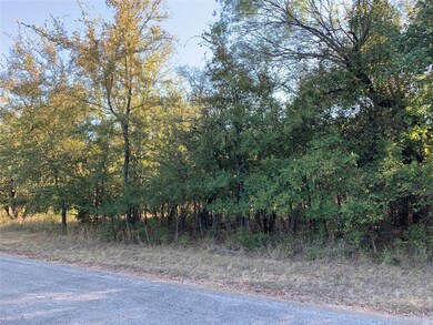 39183 Misty Ridge Dr, Whitney, TX 76692 - photo 2