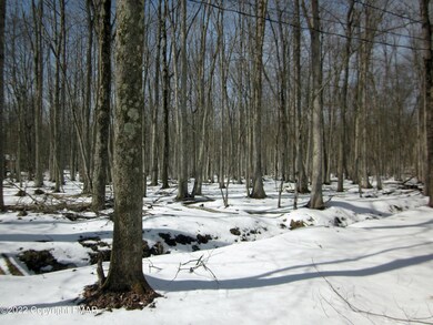 11 Hillcrest Dr_Green Space