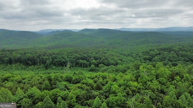 0 Hwy 151 unit 10530956, Ringgold, GA 30736 - photo 5