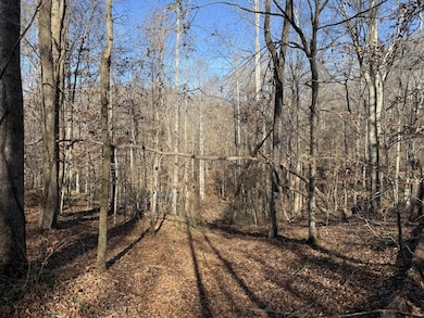 1 Montgomery Ln, Savannah, TN 38372 - photo 5