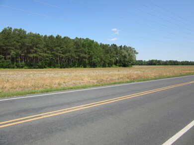 wire grass & great marsh repair 009