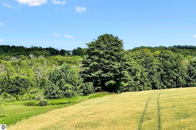 00 N Setterbo Rd, Suttons Bay, MI 49653 - photo 6