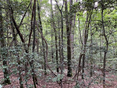 02 S Carolina 11, Tamassee, SC 29686 - photo 3