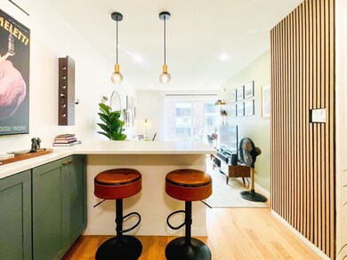 36 Bellvista Rd unit 22, Brighton, MA 02135 - photo 3