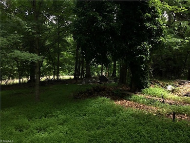 Back Yard Looking Toward Electric Easement