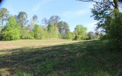 Additional View