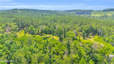 1DJI_20250626030045_0207_D (1)