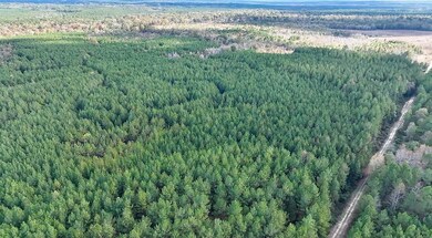 unlisted-address, Mize, MS 39116 - photo 7