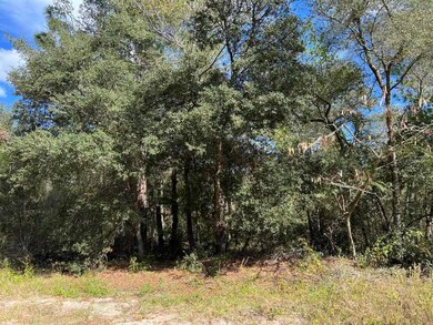 0 SW Azalea Ct unit MFRU8219363, Dunnellon, FL 34431 - photo 4