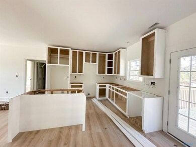 221 Justin Ln, Union Grove, AL 35175 - photo 5