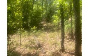 0 SW Briar Patch Terra unit 107511, Fort White, FL 32038 - photo 3