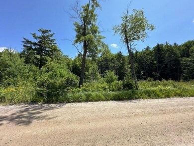 Map 6 Lot 67 Bog Rd, Hillsborough, NH 03244 - photo 5