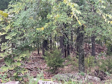 000 S West 120th Rd, Wilburton, OK 74578 - photo 3