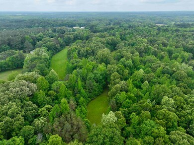 Drone / aerial view of a forest