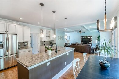 1769 Mount Carmel Cir, Denver, NC 28037 - photo 7