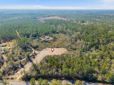 Nsn Country Hill Rd, Lucedale, MS 39452 - photo 5