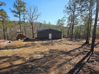 172018 Us Highway 271, Clayton, OK 74536 - photo 2