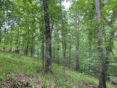 0 Mcdade Rd unit 23668134, Eatonton, GA 31024 - photo 5