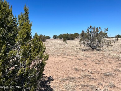 13 SW Chain Ranch, Ash Fork, AZ 86320 - photo 6