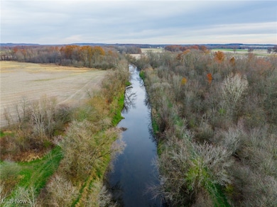 12160 Harvey Cir, Chippewa Township, OH 44270 - photo 3
