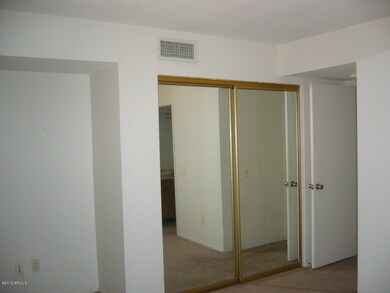 MIRRORED CLOSET DOORS