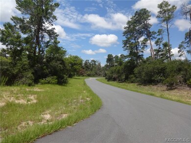 0 SW 175th Loop unit 775011, Ocala, FL 34473 - photo 7