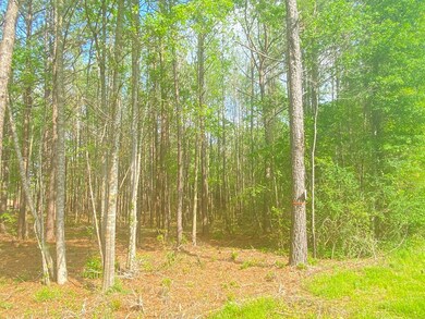 0 Quinlivan Rd, McComb, MS 39648 - photo 6