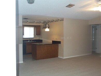 unlisted-address, Tavares, FL 32778 - photo 7