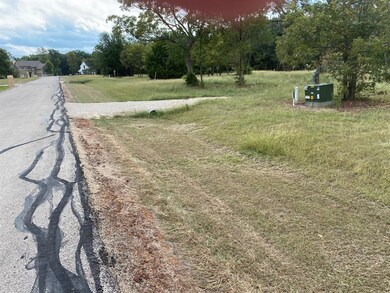 484 Canal St, Corsicana, TX 75109 - photo 4